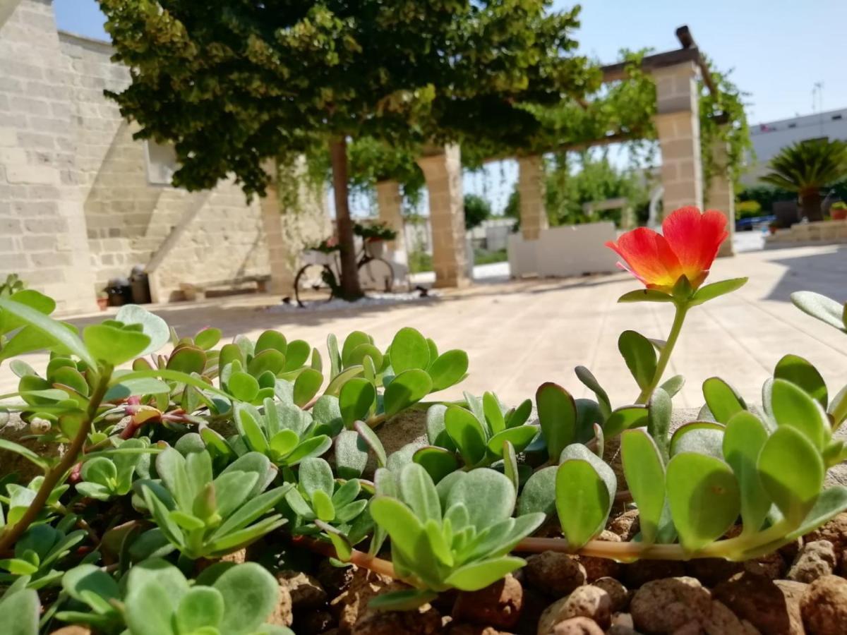 Il Giardino Del Tiglio Bed & Breakfast Uggiano La Chiesa Luaran gambar