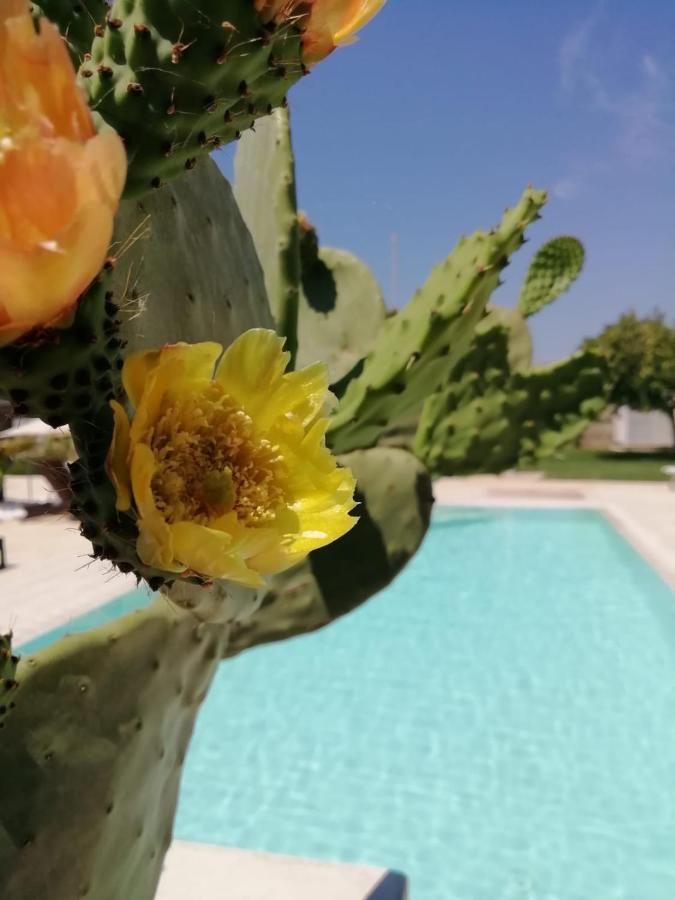Il Giardino Del Tiglio Bed & Breakfast Uggiano La Chiesa Luaran gambar