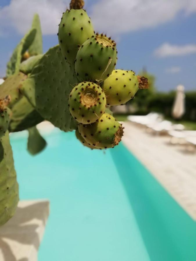Il Giardino Del Tiglio Bed & Breakfast Uggiano La Chiesa Luaran gambar